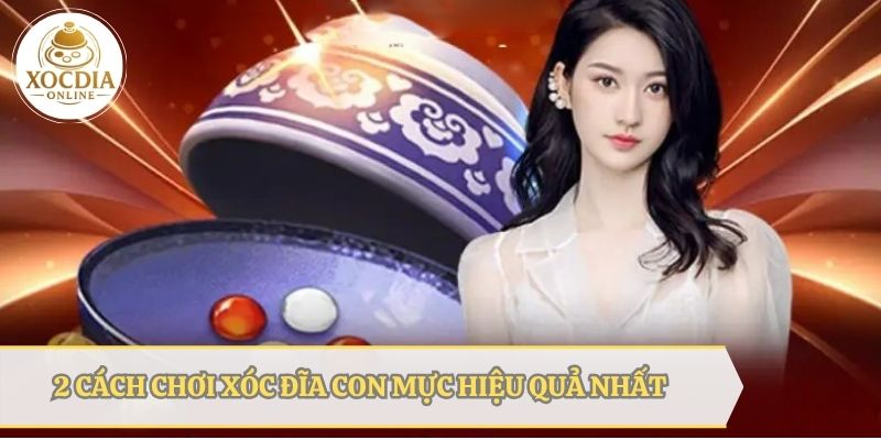 2 Cách chơi xóc đĩa con mực hiệu quả 100%