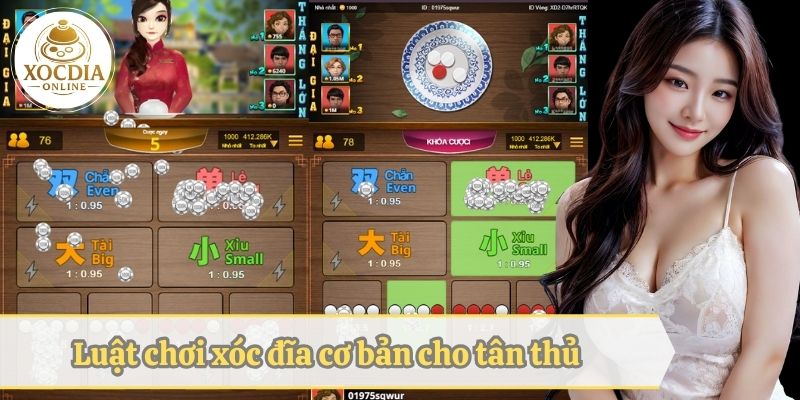 Luật chơi xóc cơ bản cho người mới bắt đầu