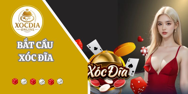 Top 5 phương pháp bắt cầu xóc đĩa online đánh đâu thắng đó