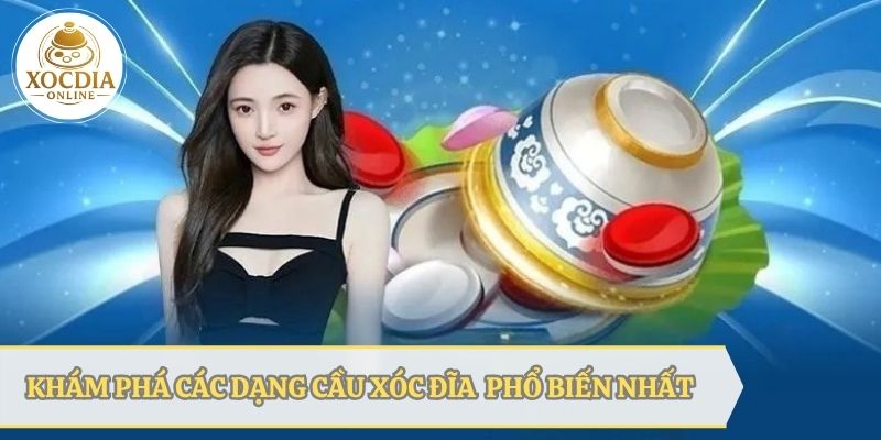 Các dạng cầu xóc đĩa phổ biến nhất thị trường