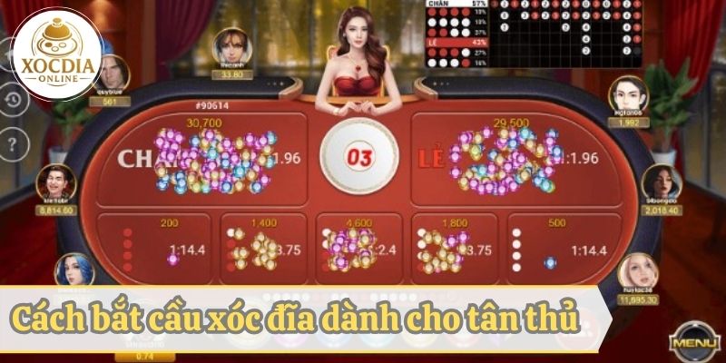 Cách bắt cầu xóc đĩa online cho tân thủ