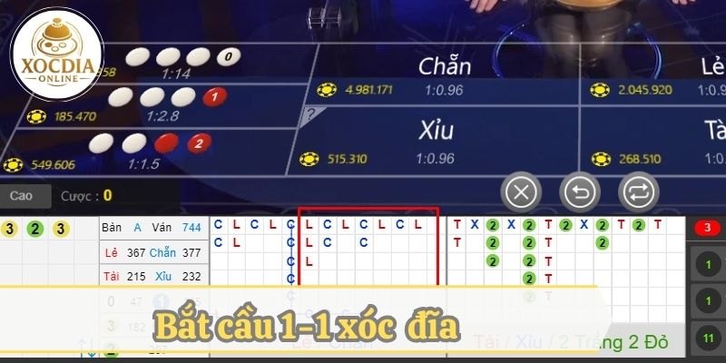 Cầu 1 - 1 trong cách bắt cầu xóc đĩa