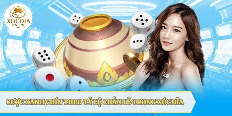 Cược xanh chính theo tỷ lệ chẵn lẻ trong xóc đĩa