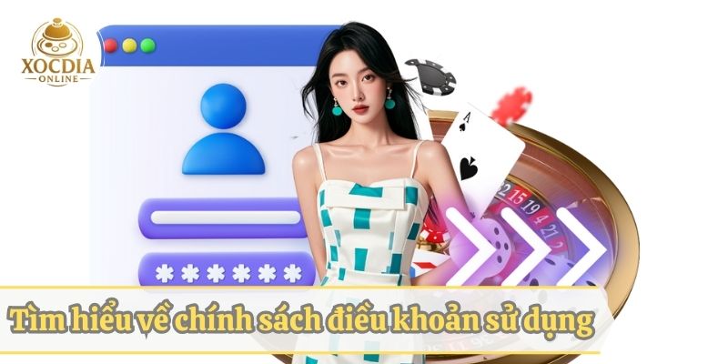 Giới thiệu về chính sách điều khoản về việc sử dụng dịch vụ