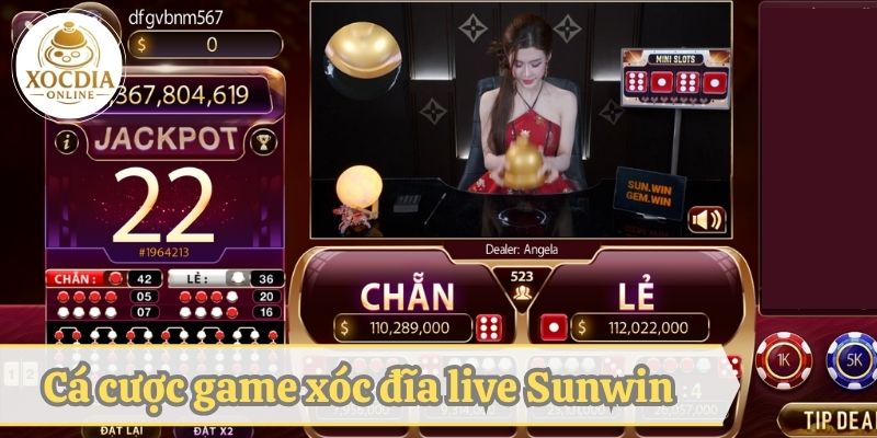 Khám phá game xóc đĩa live tại cổng game Sunwin