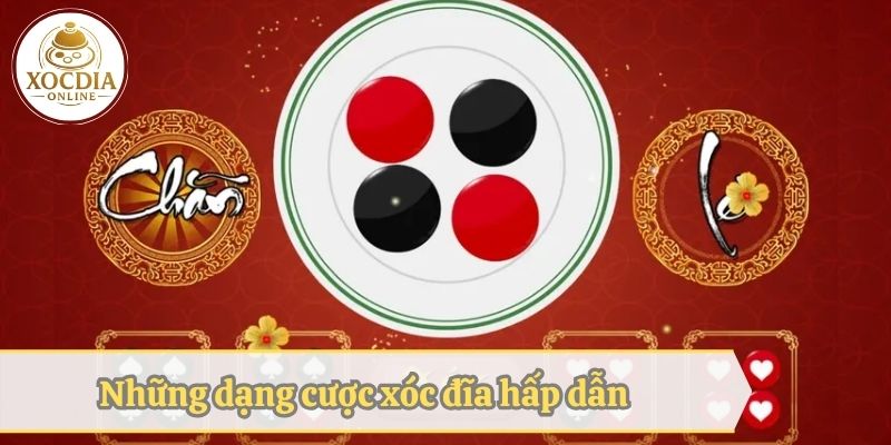 Những dạng cược xóc đĩa hấp dẫn