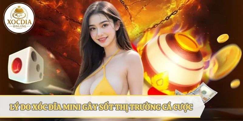 Những lý do xóc đĩa mini gây sốt trên thị trường