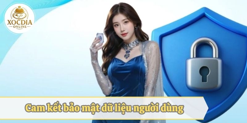 Nội dung cam kết bảo mật dữ liệu người dùng
