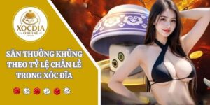 Tìm hiểu tỷ lệ chẵn lẻ trong xóc đĩa và cách cược hiệu quả